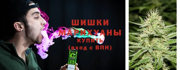 прущие грибы Арсеньев