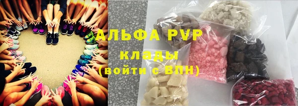 прущие грибы Арсеньев